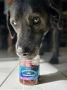 Stevi &amp; Schnück‘s Hundemarmelade Nordlichter DŻEM DOBRY ZORZA POLARNA 275g