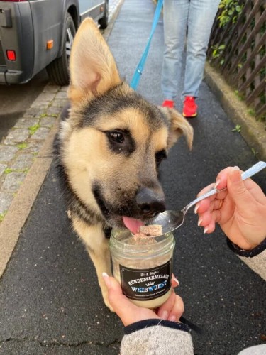 Stevi &amp; Schnück‘s Hundemarmelade Weisswurst DŻEM DOBRY BIAŁA KIEŁBASA 275g