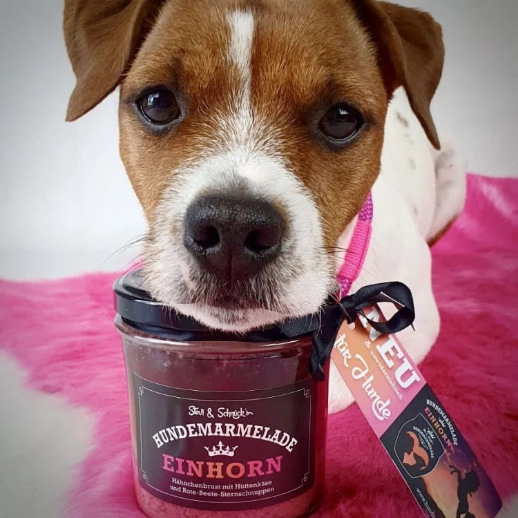 Stevi &amp; Schnück‘s Hundemarmelade Einhorn DŻEM DOBRY JEDNOROŻEC 275g