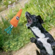 GREEN &amp; WILD'S Candice the Carrot (Marchewka)