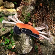 GREEN &amp; WILD'S Carlos the Crab (Krab)