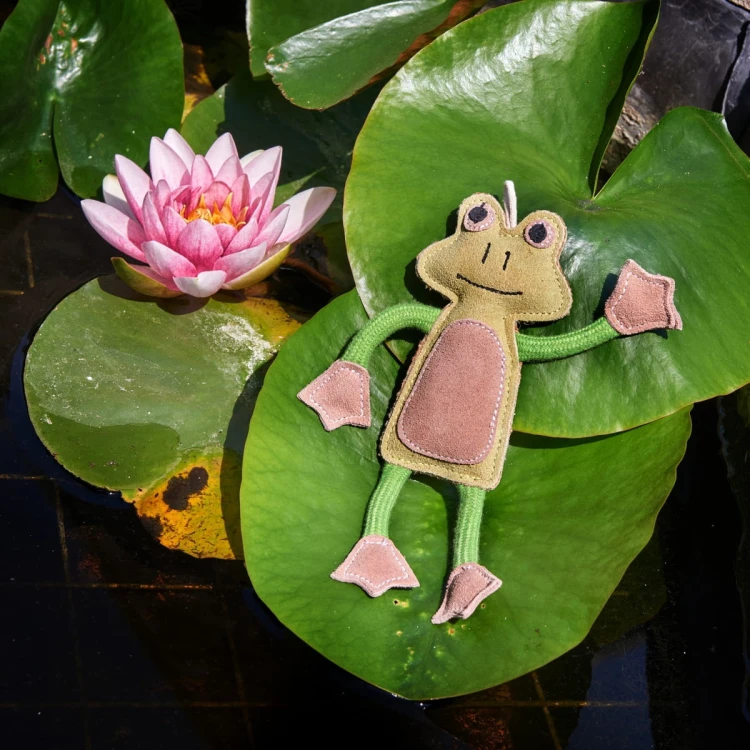 GREEN &amp; WILD'S Francois Le Frog (Żaba)