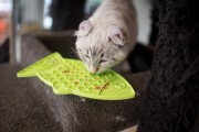 Mata LickiMat® Classic Felix™ zielona