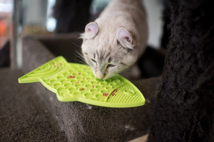 Mata LickiMat® Classic Felix™ zielona