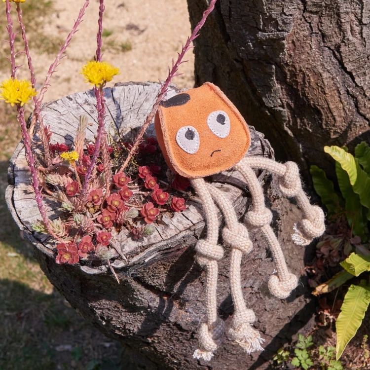 GREEN &amp; WILD'S Sid the Squid (Kałamarnica)