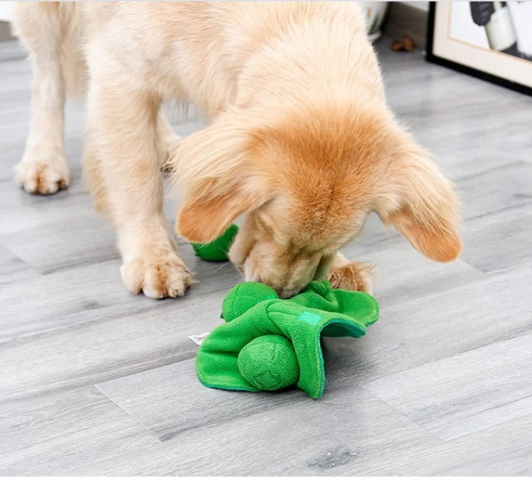 DOGLEMI Zabawka węchowa GROSZEK