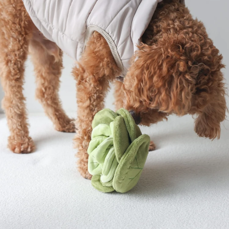Pups &amp; Bubs SNUFFLE CABBAGE Kapusta zabawka węchowa