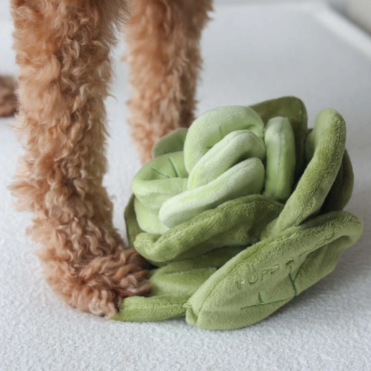 Pups &amp; Bubs SNUFFLE CABBAGE Kapusta zabawka węchowa