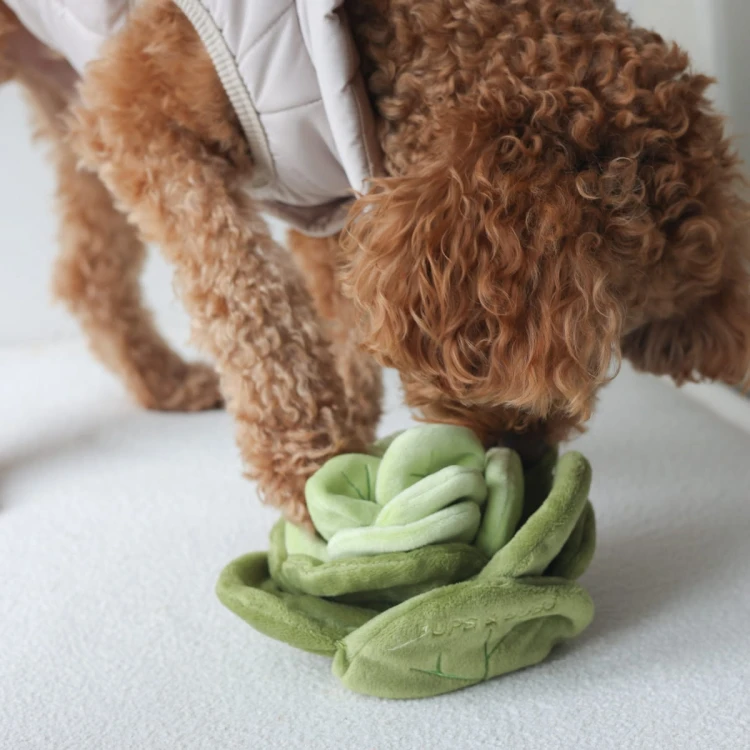 Pups &amp; Bubs SNUFFLE CABBAGE Kapusta zabawka węchowa