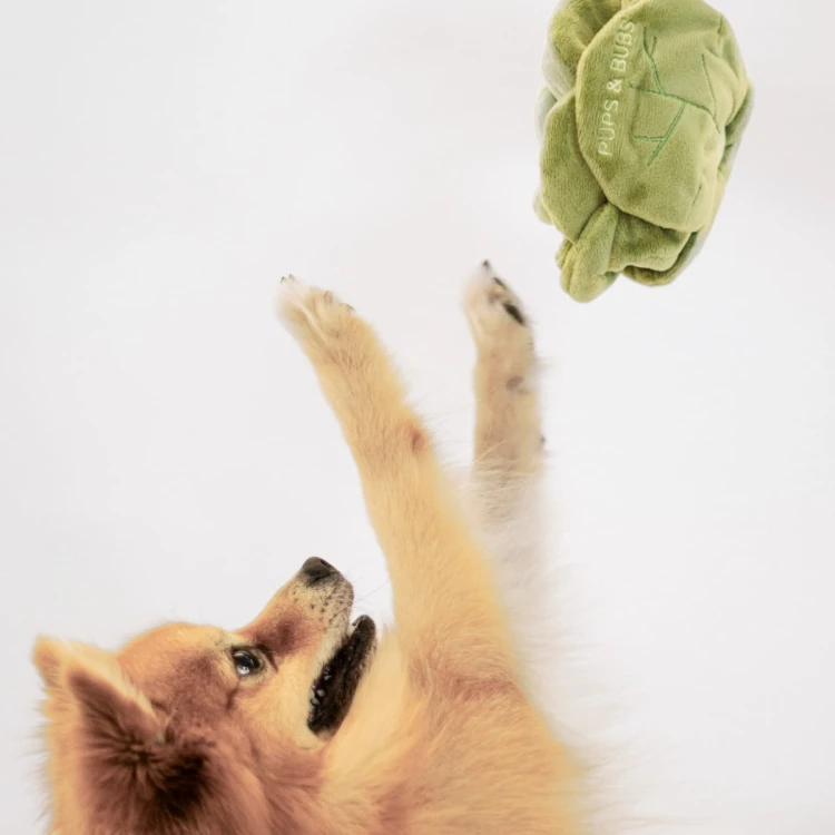 Pups &amp; Bubs SNUFFLE CABBAGE Kapusta zabawka węchowa