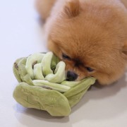 Pups &amp; Bubs SNUFFLE CABBAGE Kapusta zabawka węchowa