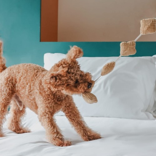 Pups &amp; Bubs POPCORN zabawka węchowa