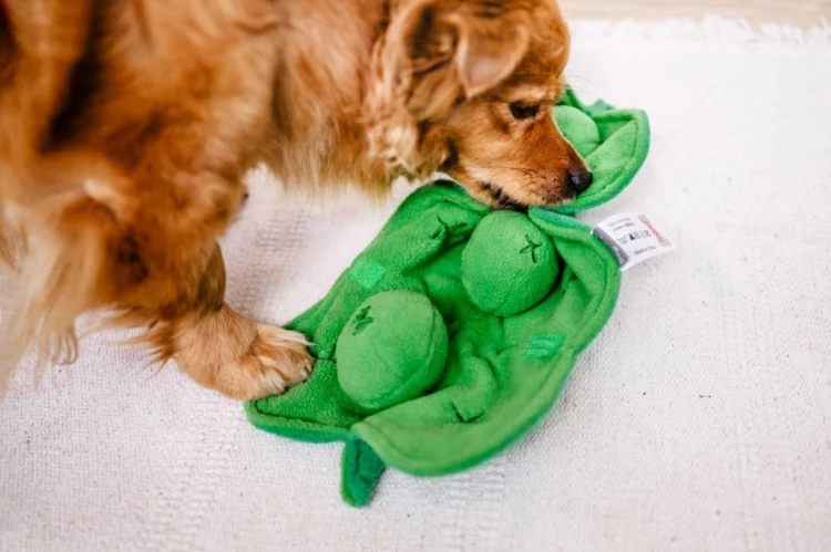 DOGLEMI Zabawka węchowa GROSZEK