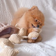 Pups &amp; Bubs POPCORN zabawka węchowa