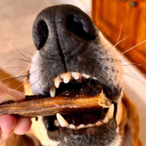 Cooka’s Cookies PORK SPAWGHETTI Suszone Jelita Wieprzowe 60g