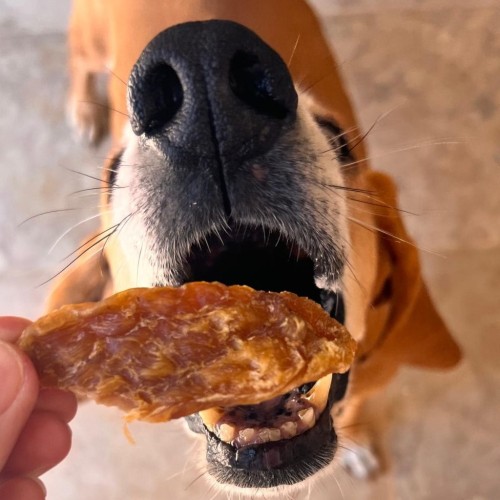 Cooka’s Cookies TURKEY CRISPIES Suszone piersi z indyka 95g