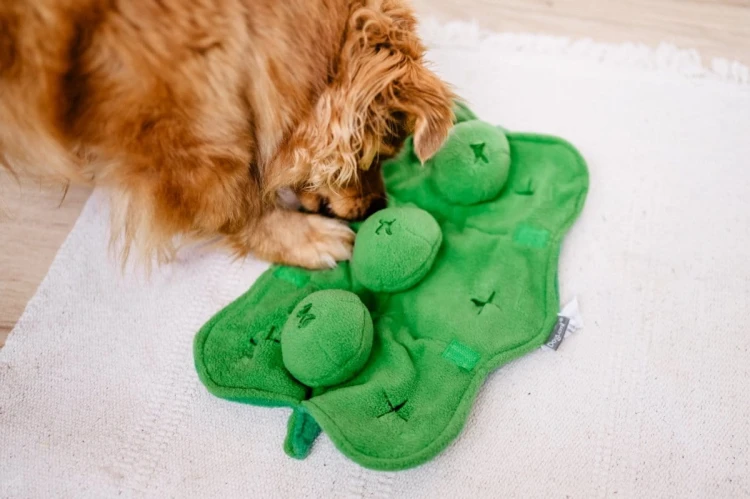 DOGLEMI Zabawka węchowa GROSZEK