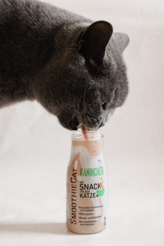 SmoothieCat KRÓLIK 150ml