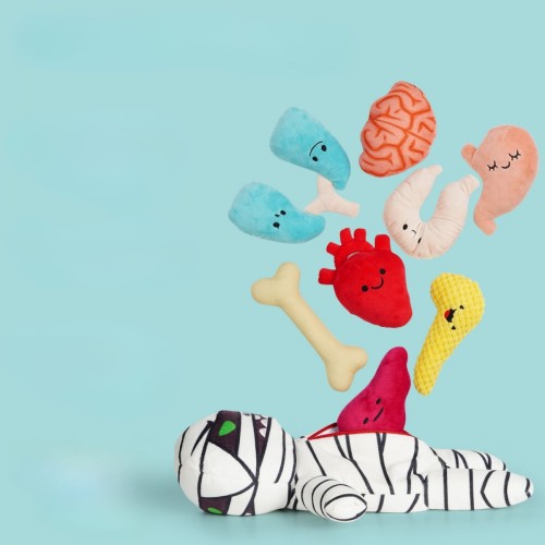 Nocciola Zabawka węchowa - norka dla psa 9-w-1 MUMIA