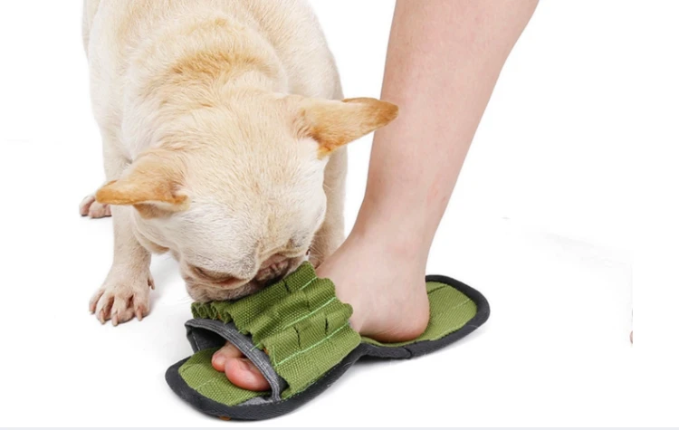 DOGLEMI Zabawka węchowa PANTOFELEK