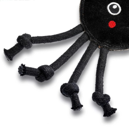 GREEN &amp; WILD'S Fangus (Tarantula)