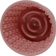 Jack &amp; Vanilla Miska spowalniająca jedzenie KUBEŁEK mały