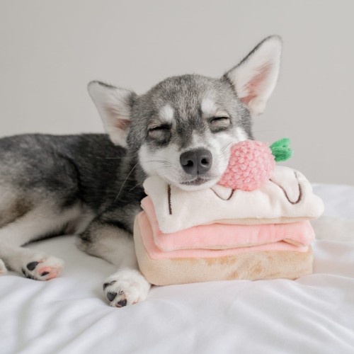 Pups &amp; Bubs STRAWBERRY MILLE-FEUILLE Truskawkowy Torcik zabawka węchowa