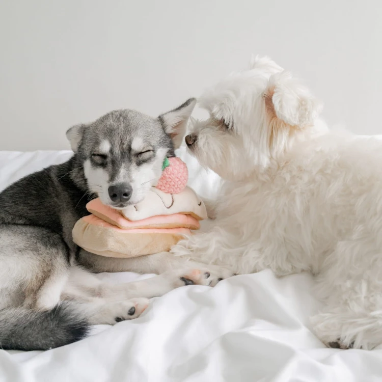 Pups &amp; Bubs STRAWBERRY MILLE-FEUILLE Truskawkowy Torcik zabawka węchowa