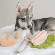 Pups &amp; Bubs PITA zabawka węchowa