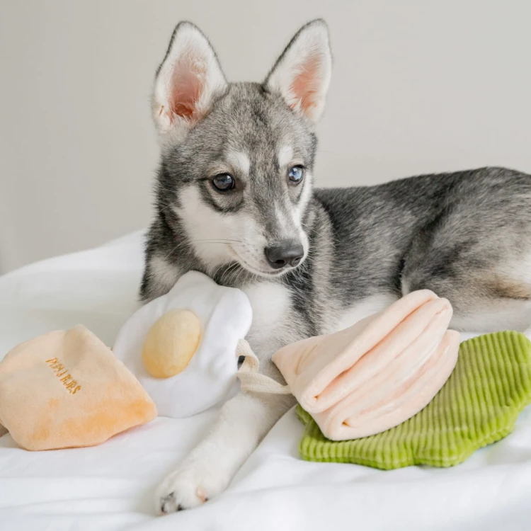 Pups &amp; Bubs PITA zabawka węchowa