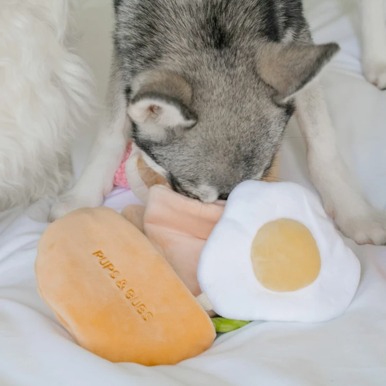 Pups &amp; Bubs PITA zabawka węchowa
