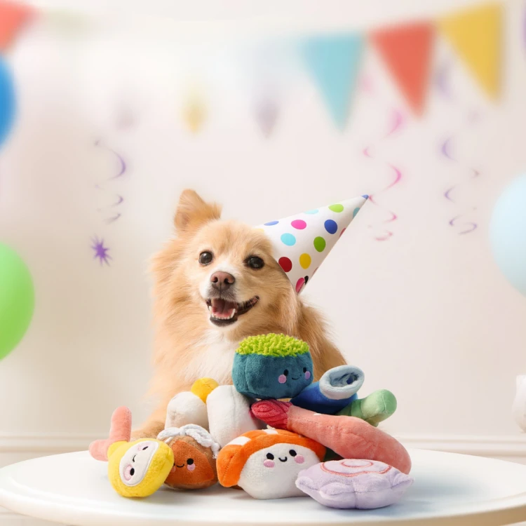 Nocciola Zabawka dla psa 11-w-1 DOSTAWA SUSHI