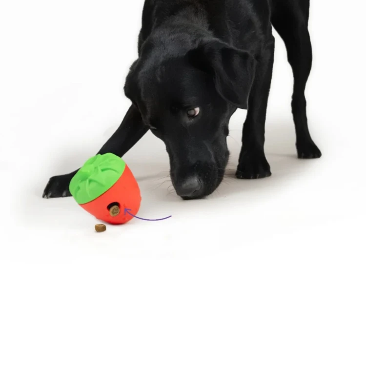 Brightkins Zabawka na przysmaki Strawberry Treat Dispenser TRUSKAWKA