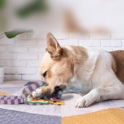 Nocciola Interaktywna zabawka dla psa WĄŻ