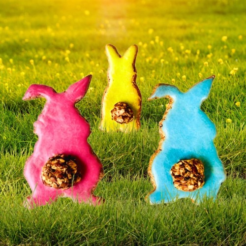 Cooka's Cookies Easter Box SOMEBUNNY LOVES YOU – wielkanocne ciasteczka dla psa 3 szt.