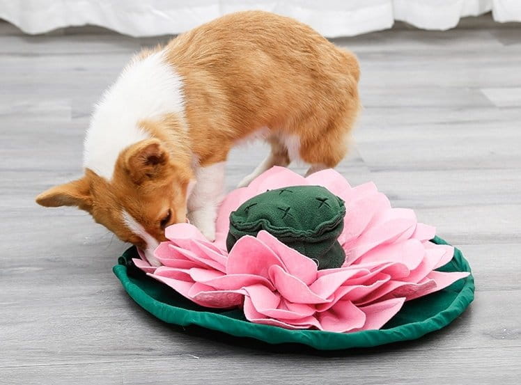 DOGLEMI Mata węchowa LOTOS