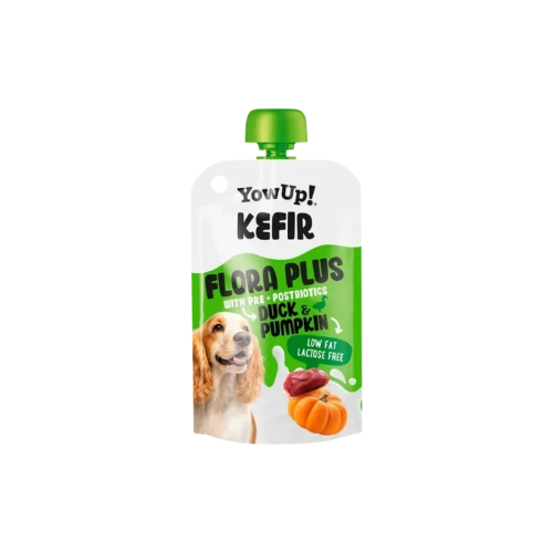 yow up kefir.webp