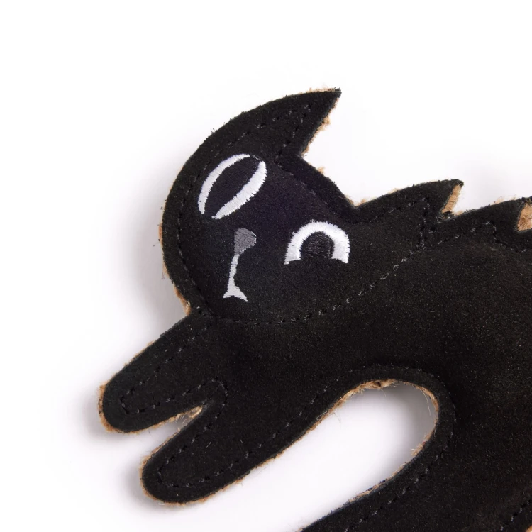 Scaredy-Cat-Close-Up.webp