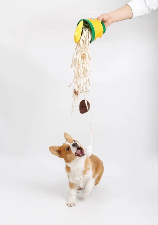 DOGLEMI Zabawka węchowa NOODLE