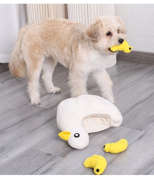 DOGLEMI Zabawka węchowa KACZA RODZINKA